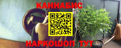 стаф Ливны