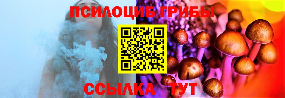 Джанкой  Псилоцибиновые грибы прущие грибы  Вход с VPN 